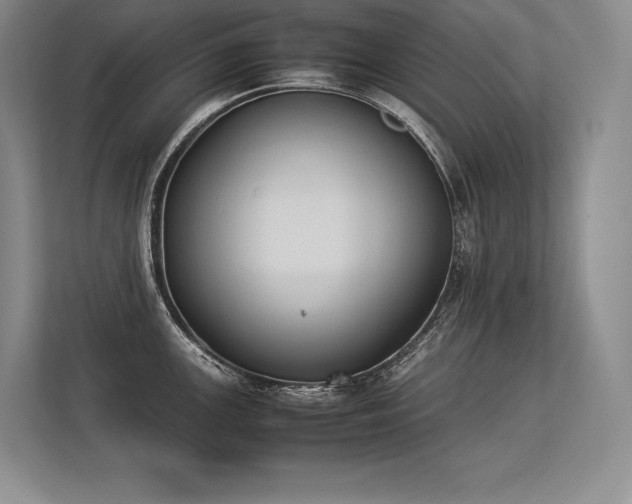 X0000113351147200909221138