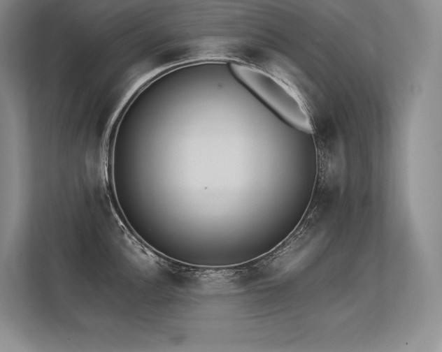 X0000113351148200909221138