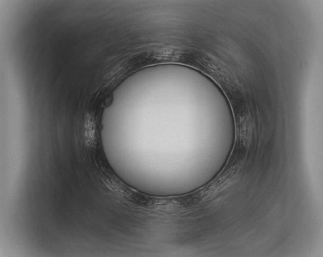 X0000113351154200909221138