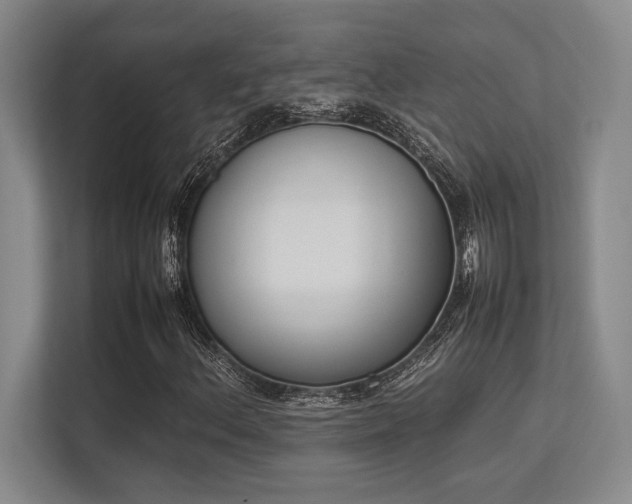 X0000113351156200909221138
