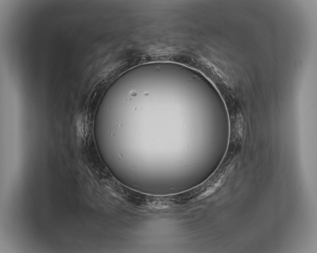 X0000113351157200909221138
