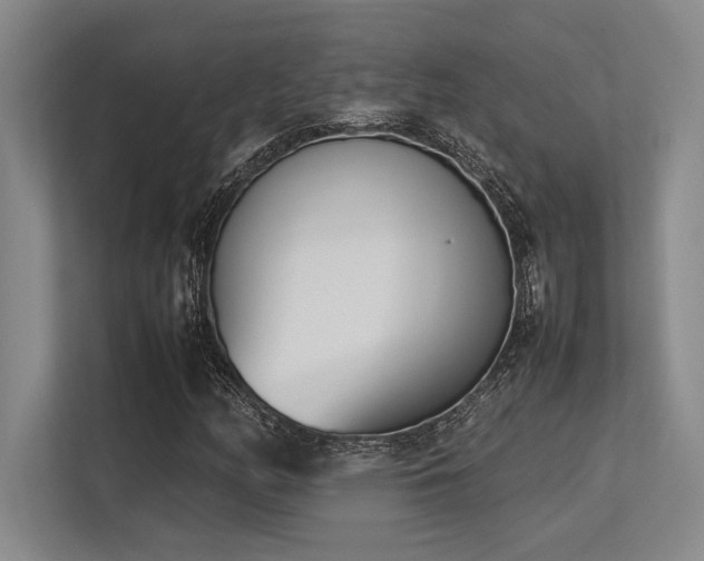 X0000113351158200909221138
