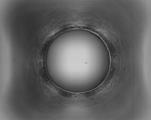 X0000113351159200909221138
