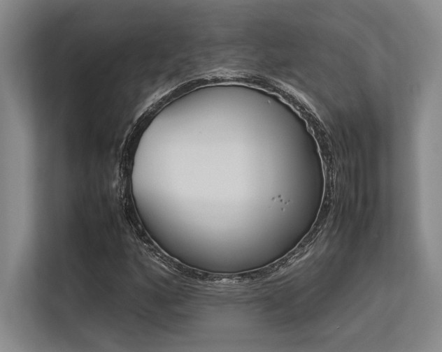 X0000113351160200909221138
