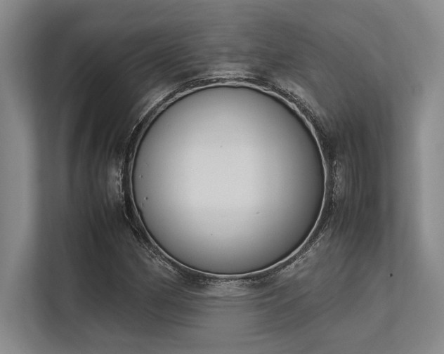 X0000113351162200909221138