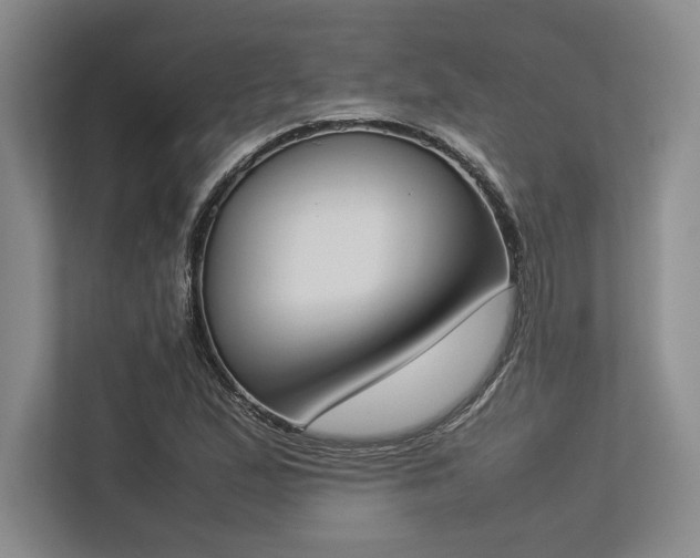 X0000113351167200909221138