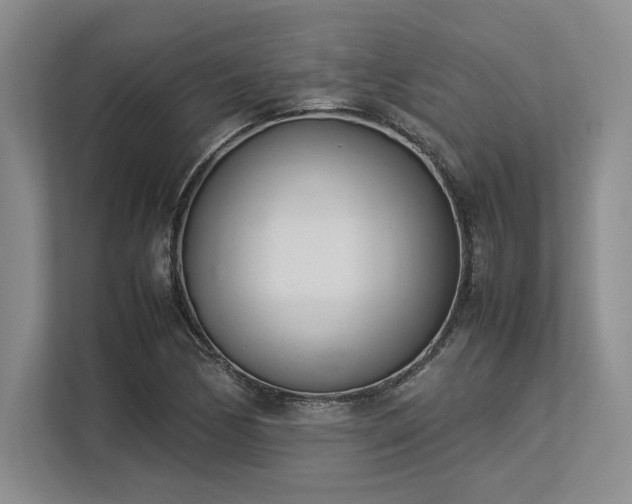 X0000113351170200909221138