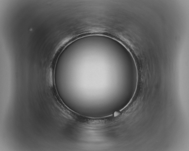 X0000113351171200909221138