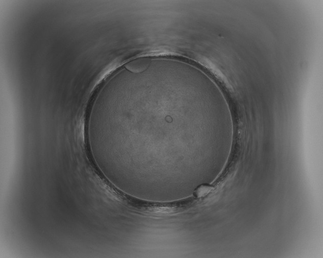 X0000113351173200909221138