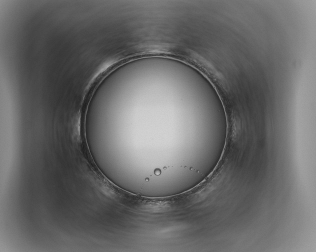 X0000113351174200909221138