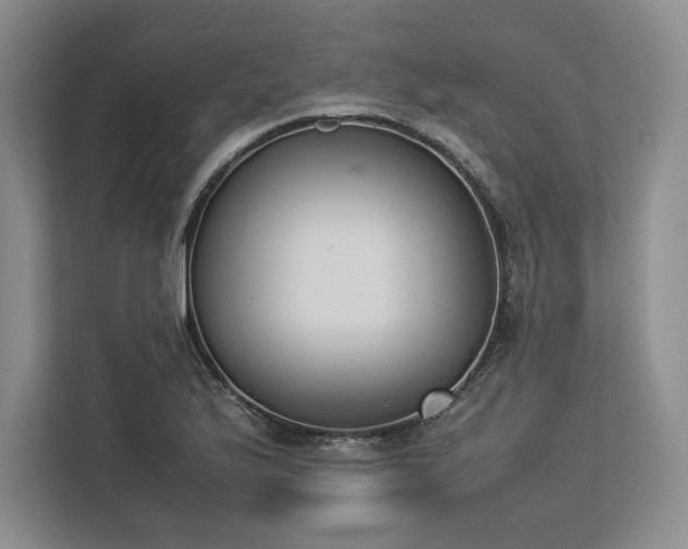 X0000113351175200909221138