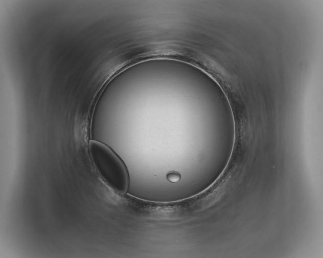 X0000113351177200909221138
