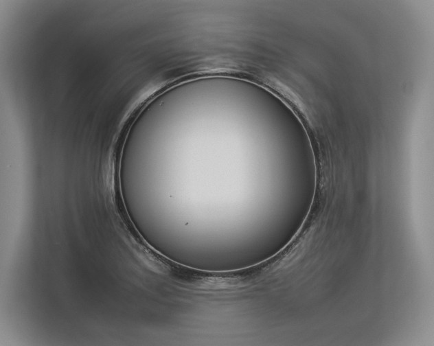 X0000113351179200909221138