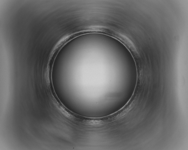 X0000113351180200909221138