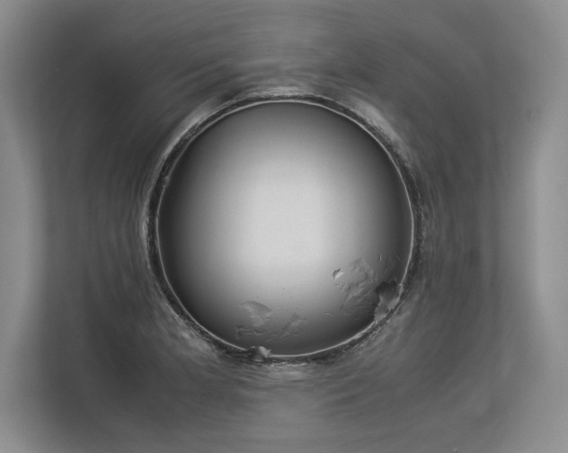 X0000113351181200909221138