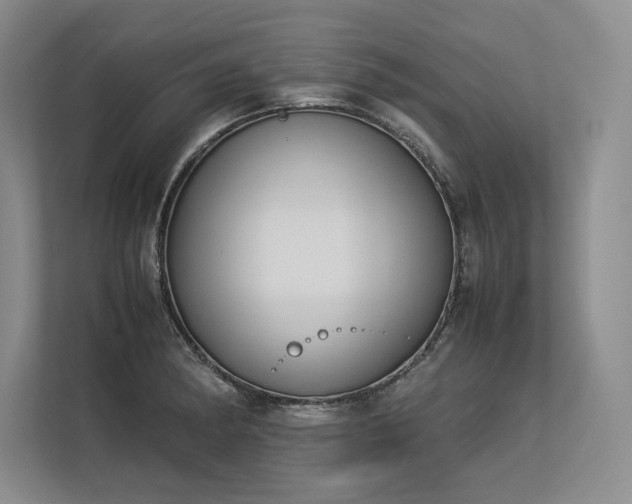 X0000113351182200909221138
