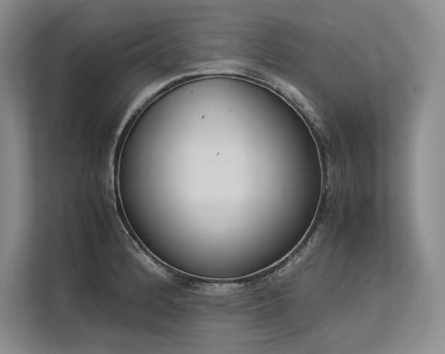X0000113351184200909221137