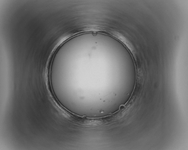 X0000113351187200909221137