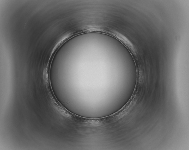 X0000113351190200909221137