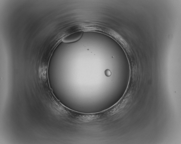 X0000113351193200909221137
