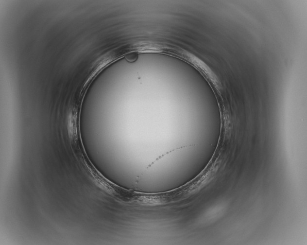X0000113351194200909221137