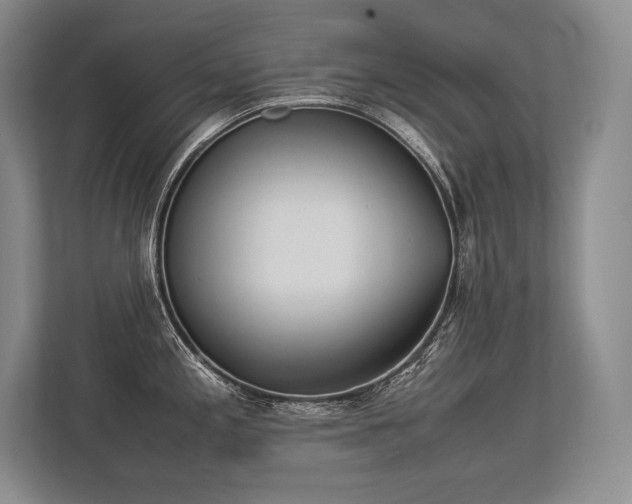 X0000113351197200909221137