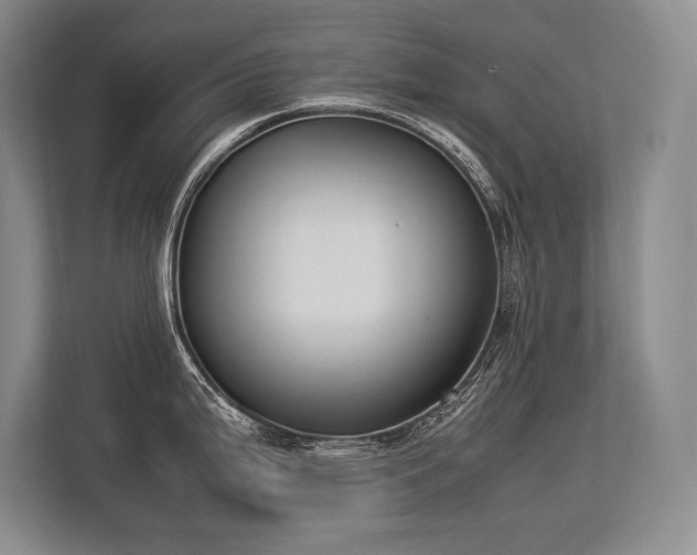 X0000113351199200909221137