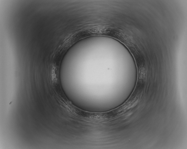 X0000113351202200909221137