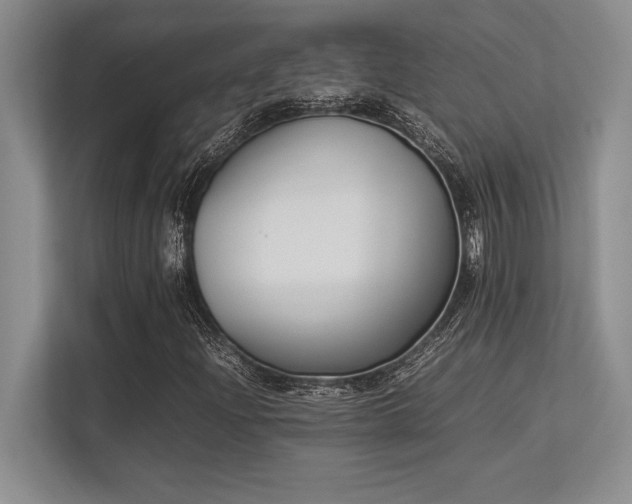 X0000113351204200909221137