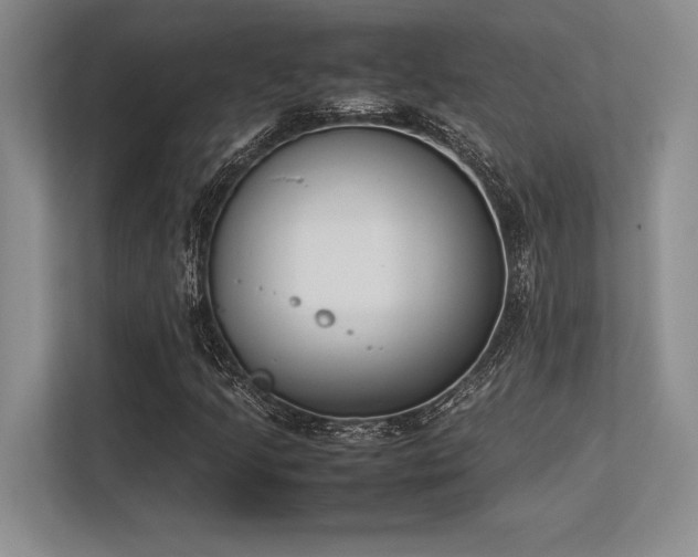 X0000113351205200909221137