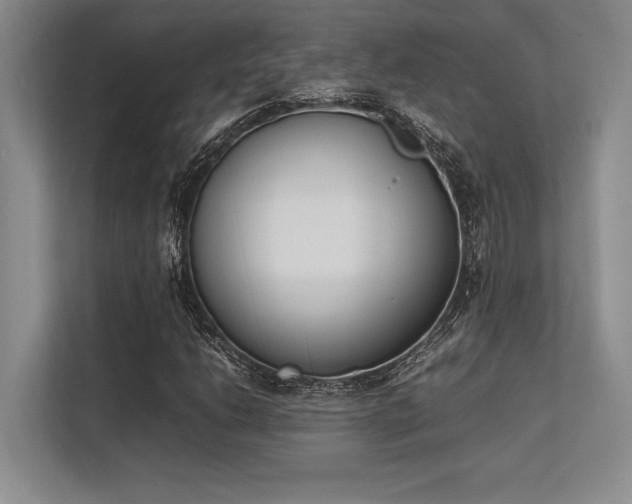X0000113351206200909221137