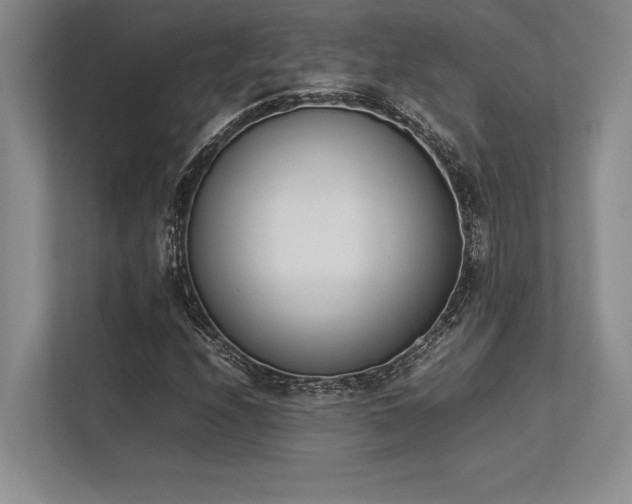 X0000113351208200909221137