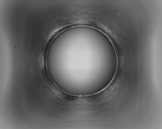 X0000113351214200909221137