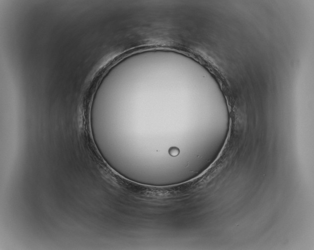 X0000113351215200909221137