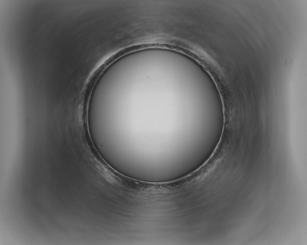X0000113351216200909221137