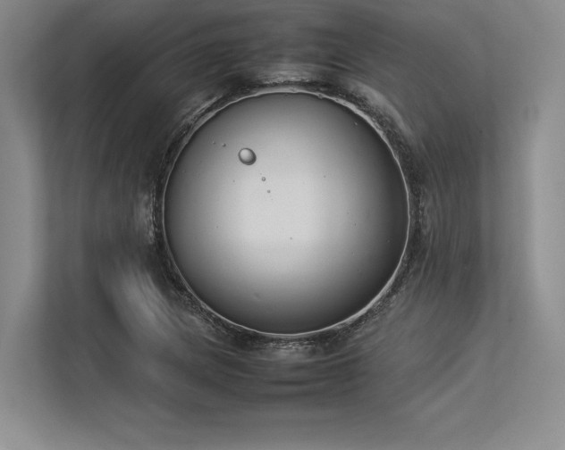 X0000113351217200909221137