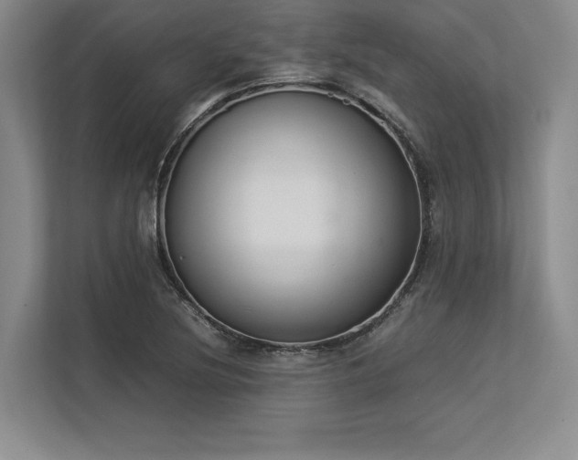 X0000113351220200909221137