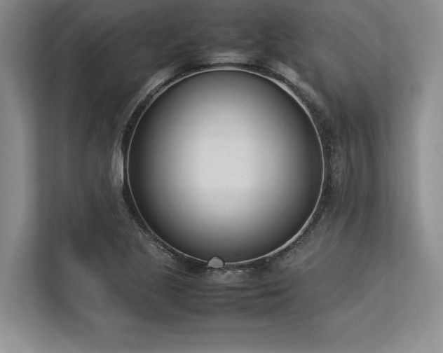 X0000113351221200909221137
