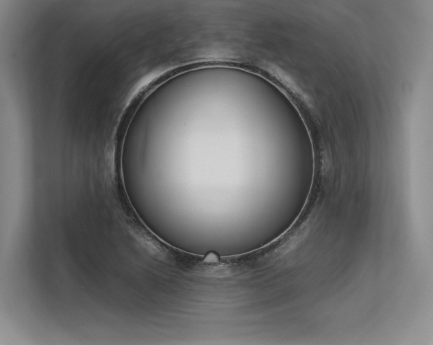 X0000113351222200909221137