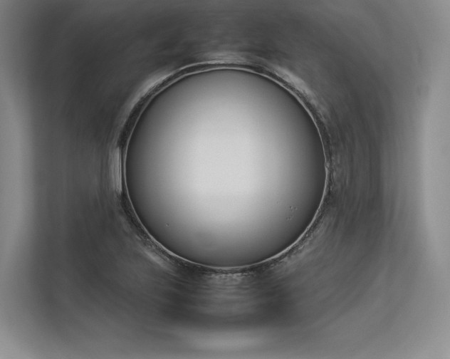 X0000113351223200909221137