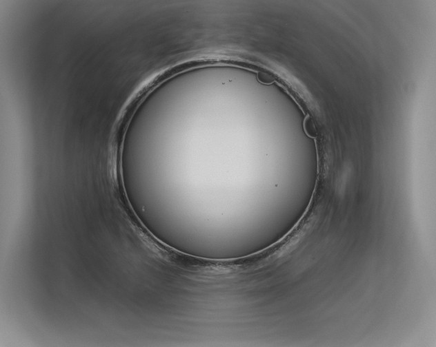 X0000113351224200909221137