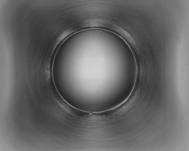 X0000113351226200909221137