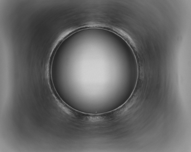 X0000113351231200909221137