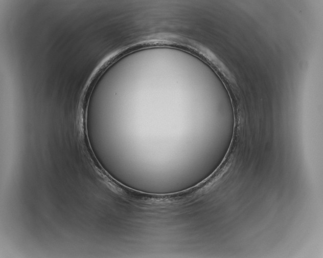 X0000113351232200909221137