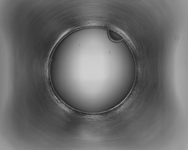 X0000113351236200909221137