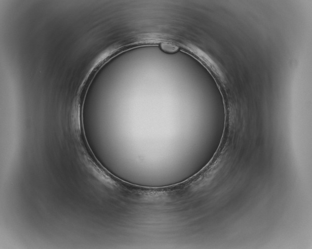 X0000113351238200909221137
