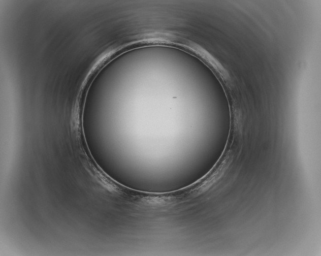 X0000113351240200909221137