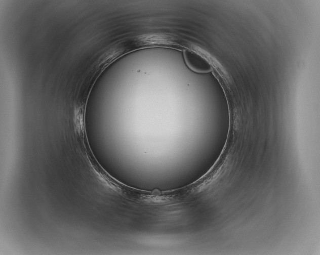 X0000113351241200909221137