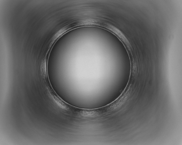 X0000113351242200909221137
