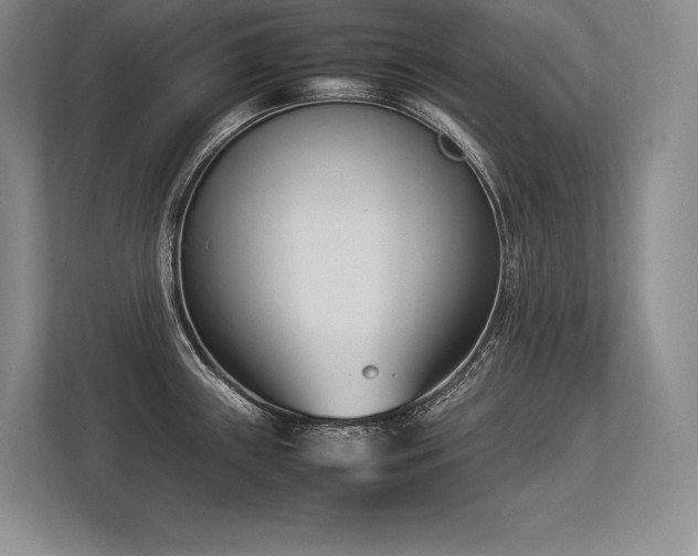 X0000113351243200909221137